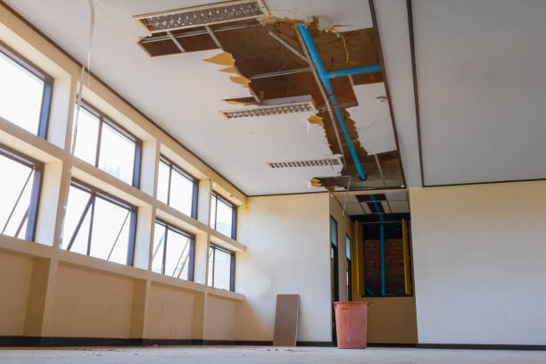 Best Water damage restoration experts  in Benson, AZ