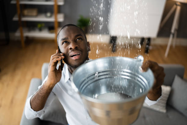 Best Commercial water damage restoration  in Benson, AZ
