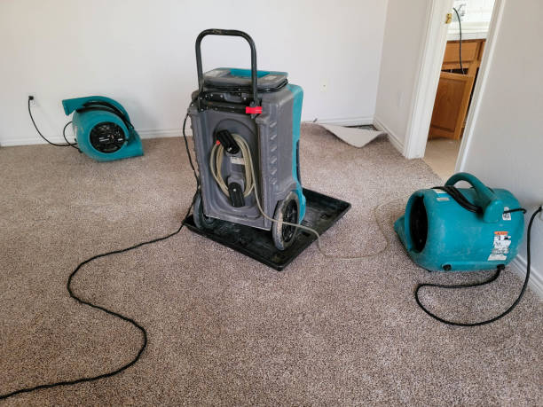 Best Local water damage restoration  in Benson, AZ