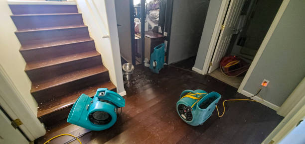 Best Basement water damage restoration  in Benson, AZ