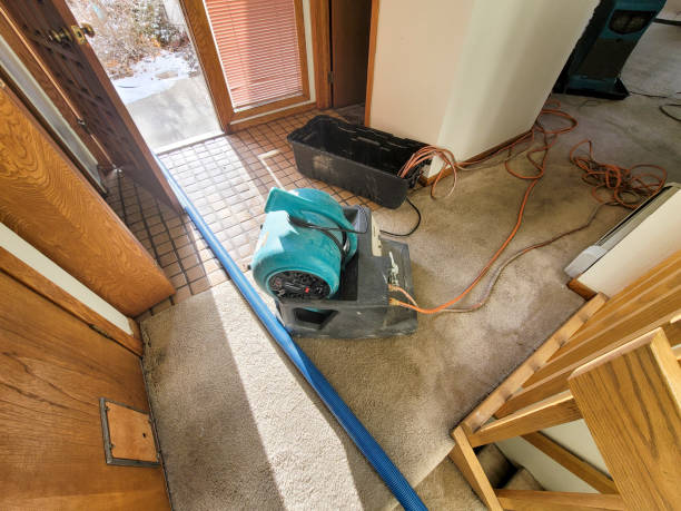 Best Sewage cleanup and water damage restoration  in Benson, AZ