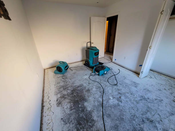 Best Basement water damage restoration  in Benson, AZ