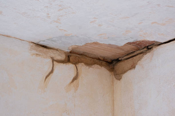 Best Residential water damage restoration  in Benson, AZ
