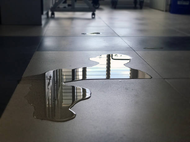 Best Water damage cleanup near me  in Benson, AZ