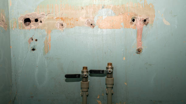 Best 24/7 water damage repair  in Benson, AZ