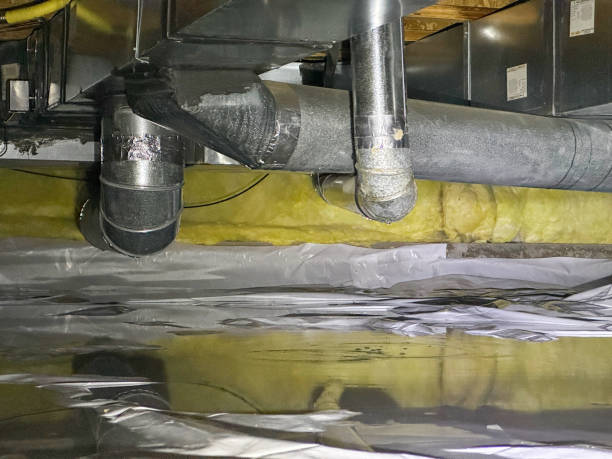 Best Mold removal after water damage  in Benson, AZ