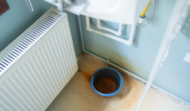 Best Flood restoration services  in Benson, AZ