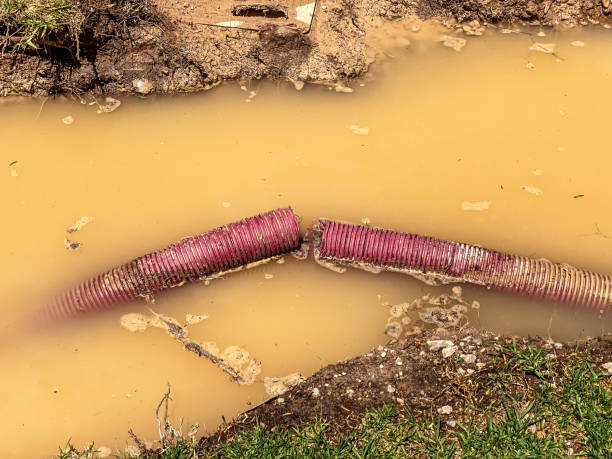 Best Residential water damage restoration  in Benson, AZ