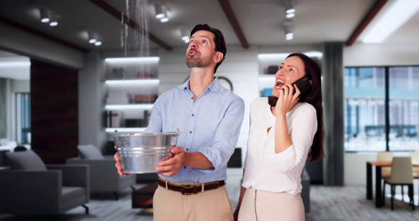Best Water damage restoration near me  in Benson, AZ